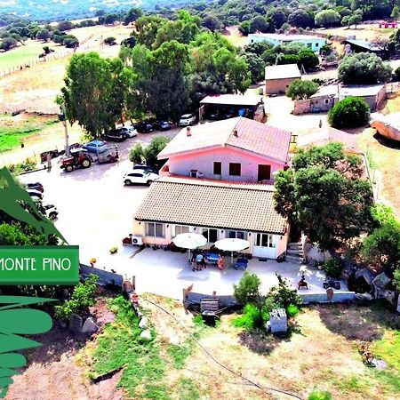 Agriturismo Monte Pino Telti エクステリア 写真