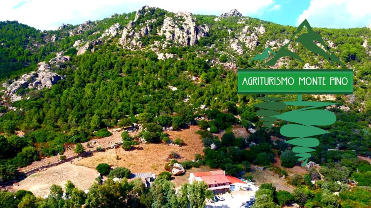 Agriturismo Monte Pino Telti エクステリア 写真