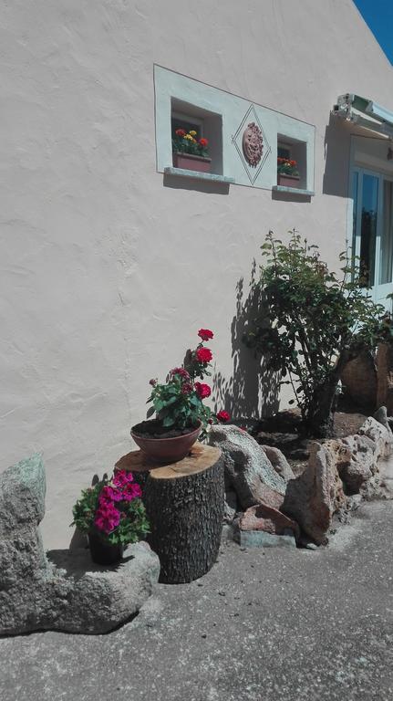 Agriturismo Monte Pino Telti エクステリア 写真