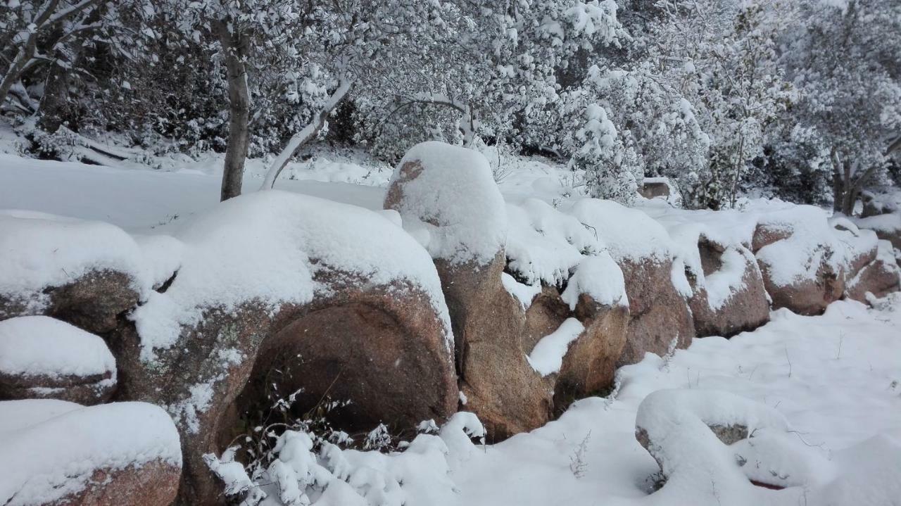 Agriturismo Monte Pino Telti エクステリア 写真