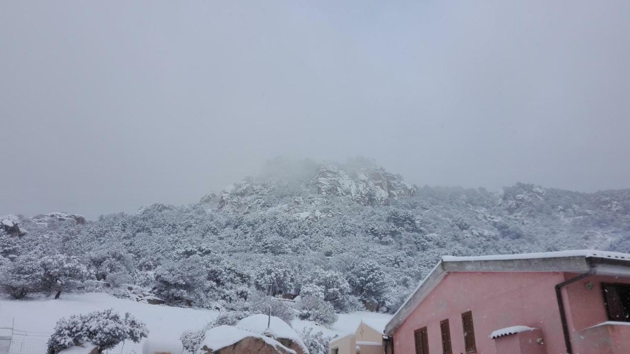 Agriturismo Monte Pino Telti エクステリア 写真