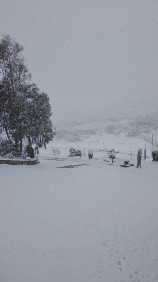Agriturismo Monte Pino Telti エクステリア 写真