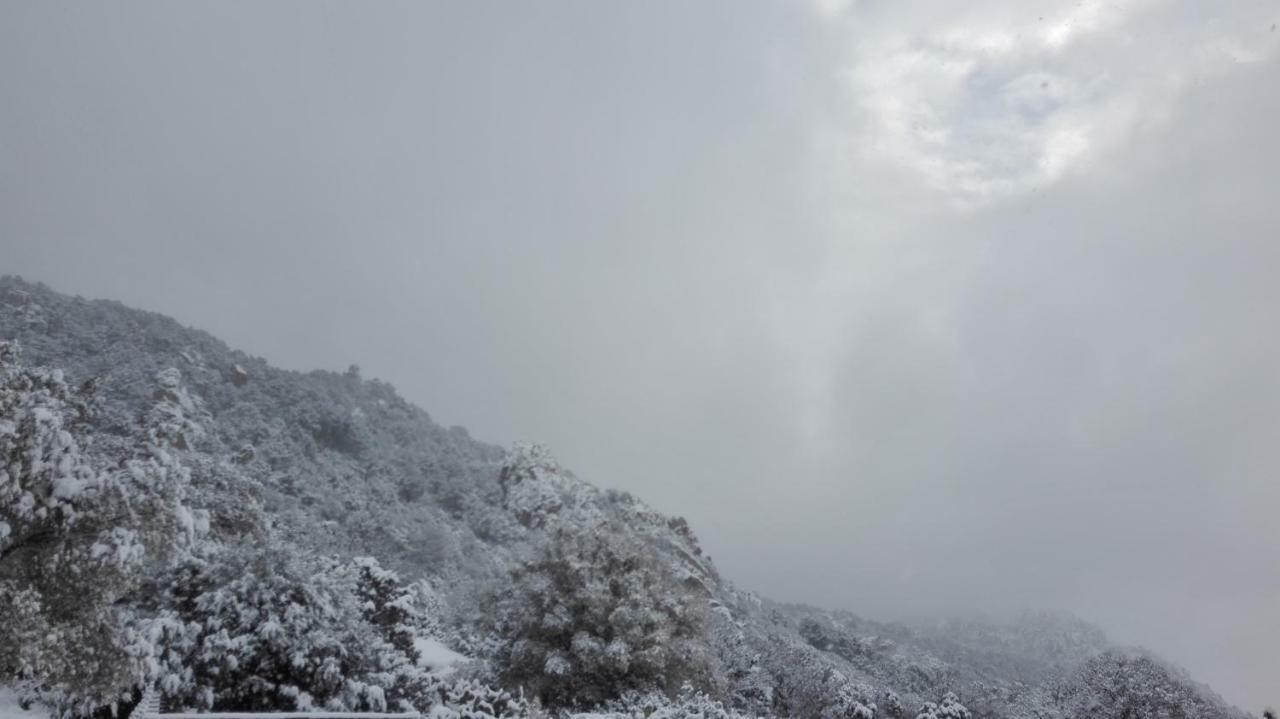 Agriturismo Monte Pino Telti エクステリア 写真