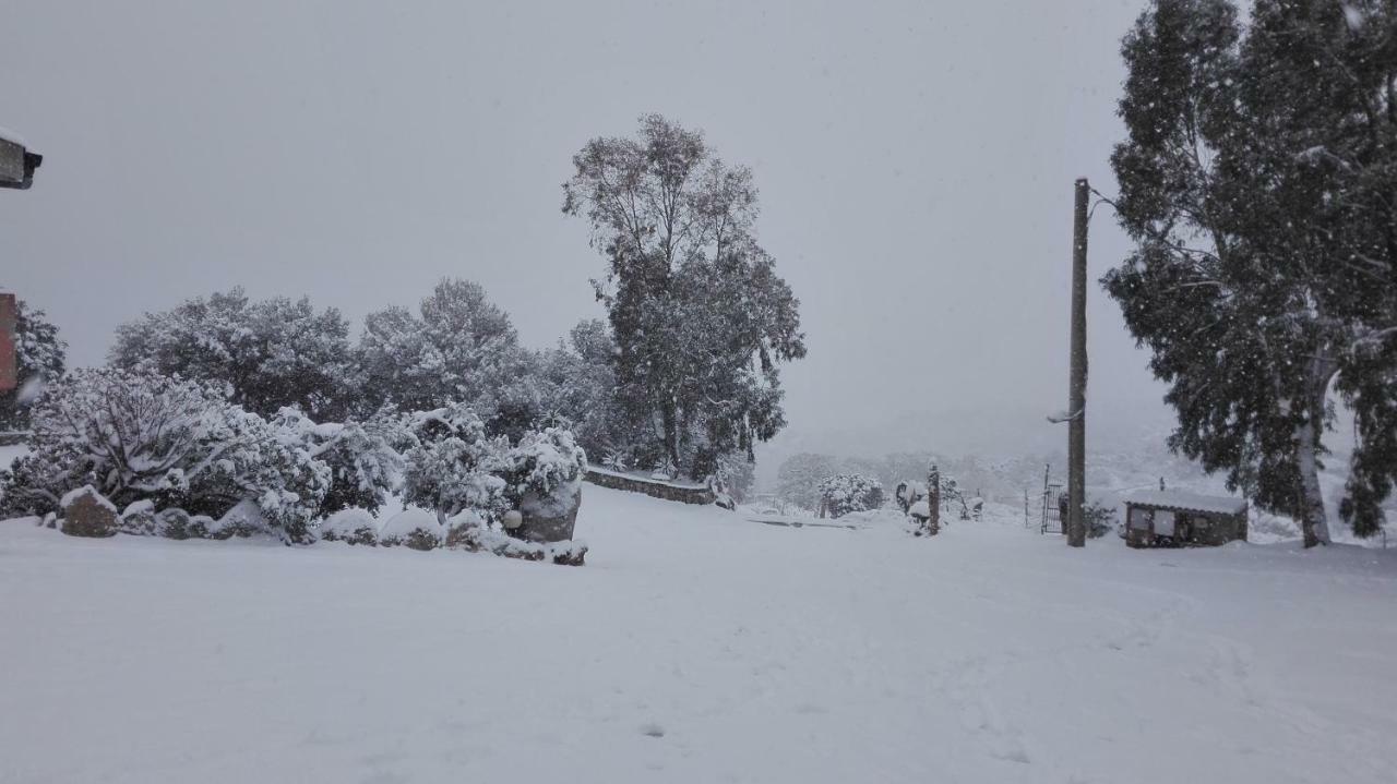 Agriturismo Monte Pino Telti エクステリア 写真