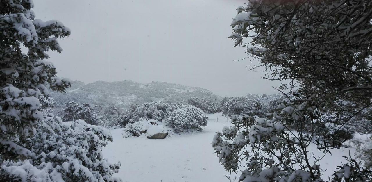Agriturismo Monte Pino Telti エクステリア 写真