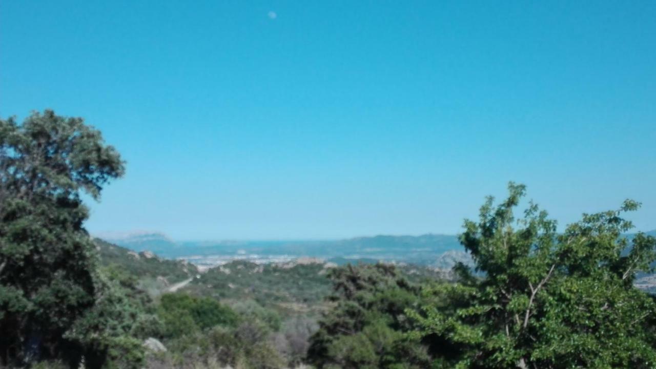 Agriturismo Monte Pino Telti エクステリア 写真